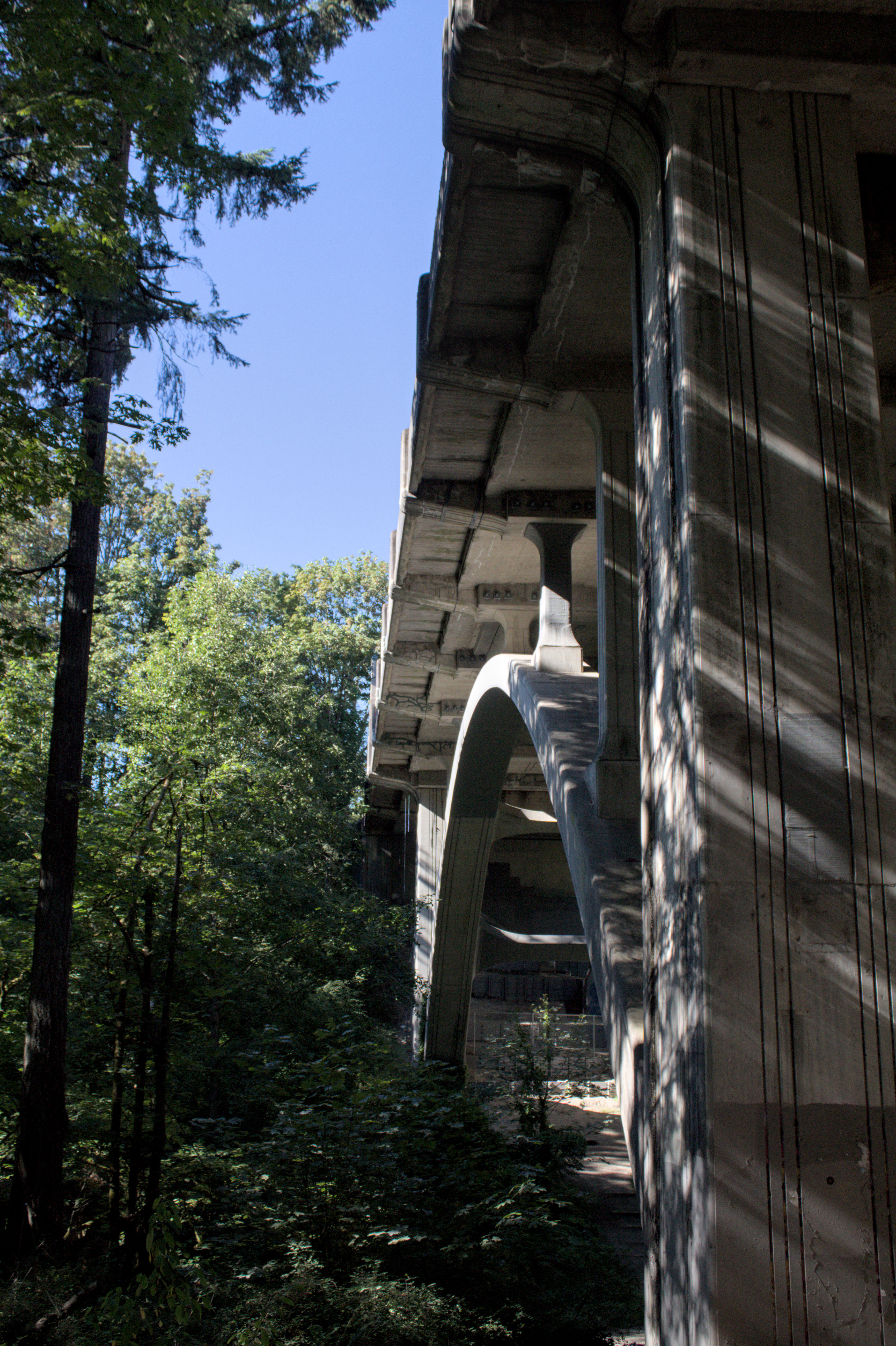 the same bridge seen from the side, showcasing a large concrete arch supporting the structure from underneath. the forest takes up the other half of the image. it is a sunny day.