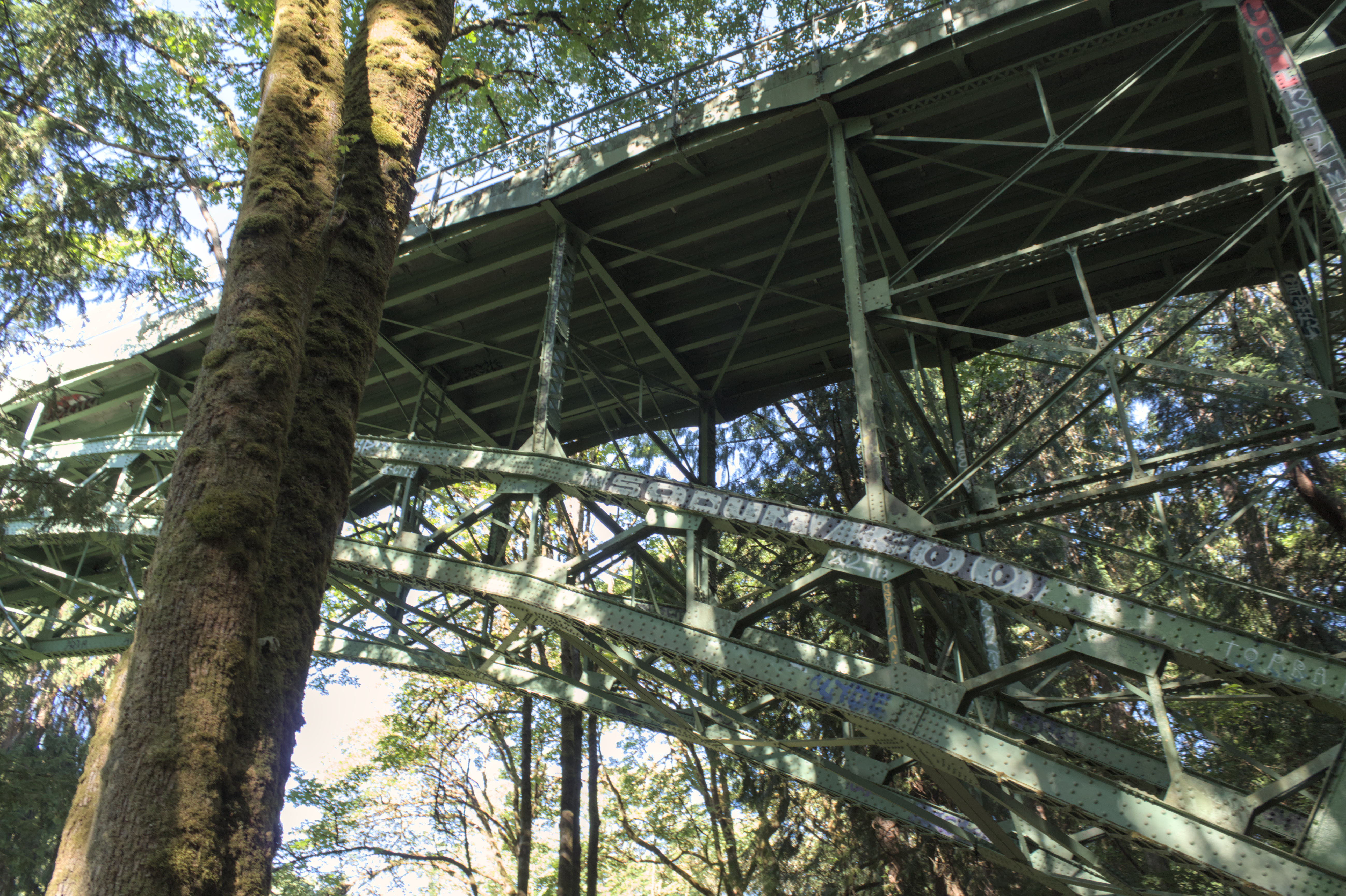 An oxidized metal footbridge seen from below, tagged with &ldquo;GOIL&rdquo;, &ldquo;SODUM&rdquo;, and &ldquo;KOO&rdquo;. A tree trunk in the foreground obscures part of the bridge.