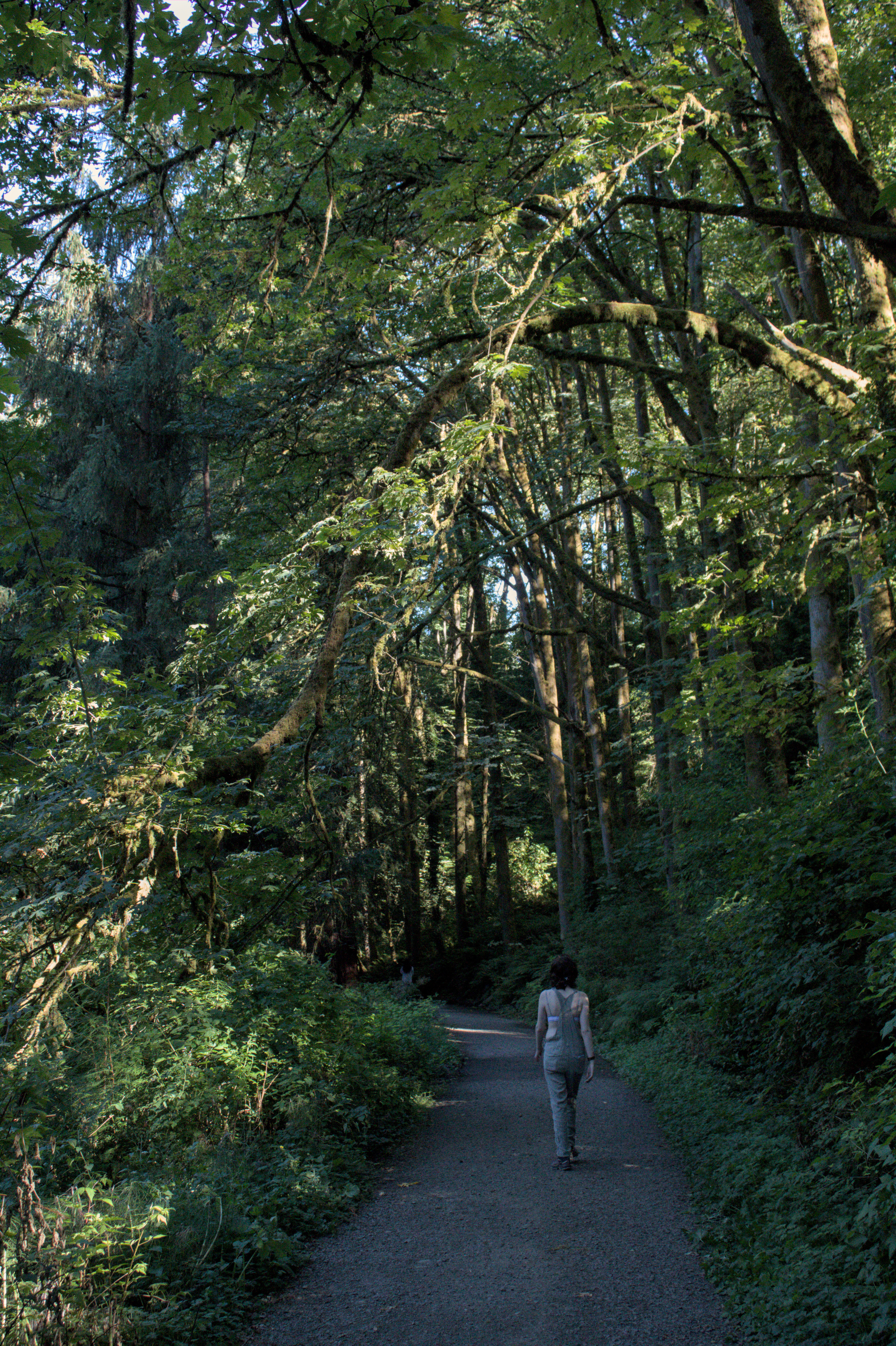 woman in overalls walks away from the camera down a shady, forested trail.